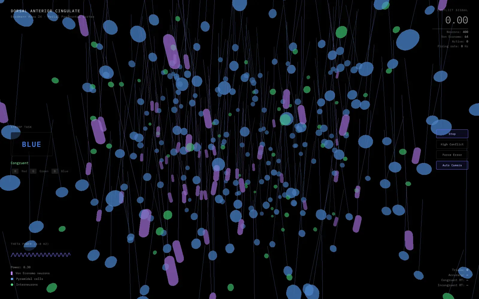 Dorsal anterior cingulate simulation with purple, blue and green cells, a Stroop word and a theta trace.