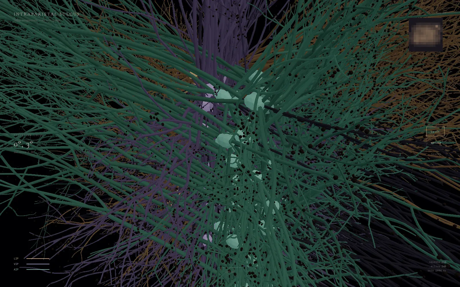 Intraparietal sulcus simulation with tan, lilac and teal pyramidal banks and a salience topography.